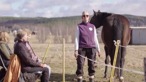 facilitador junto al caballo que lidera el grupo de participantes en la terapia equina