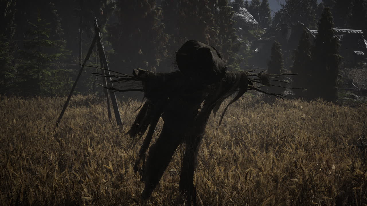 espantapájaros en el viejo campo del pueblo