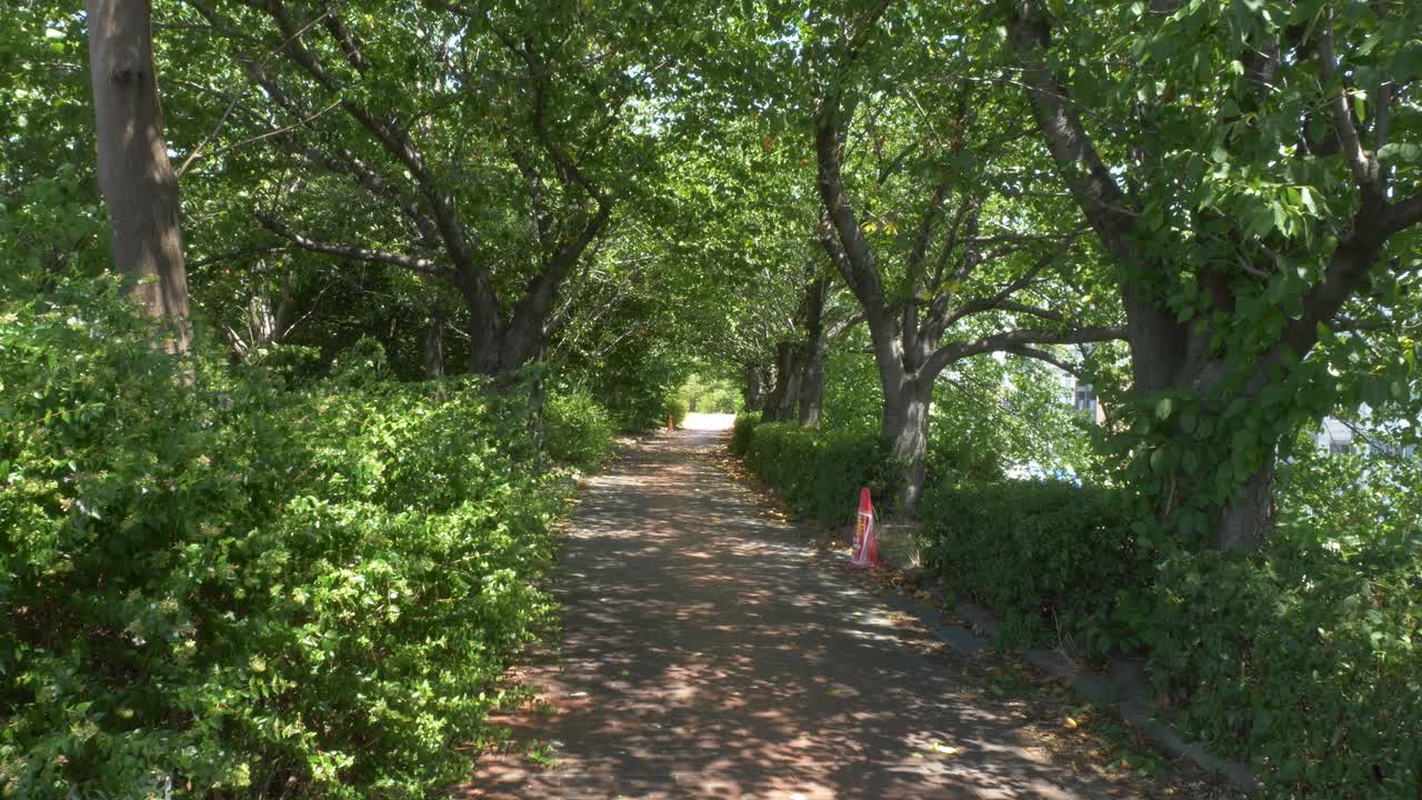 Path Covered By The Trees With Green Foliage In Yodogawa Riverside National Park, Osaka, Japan. - wide shot