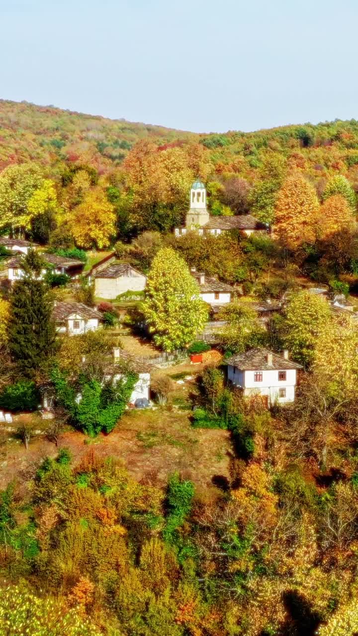 Drone view over remote rustic traditional village houses amid golden autumn forest