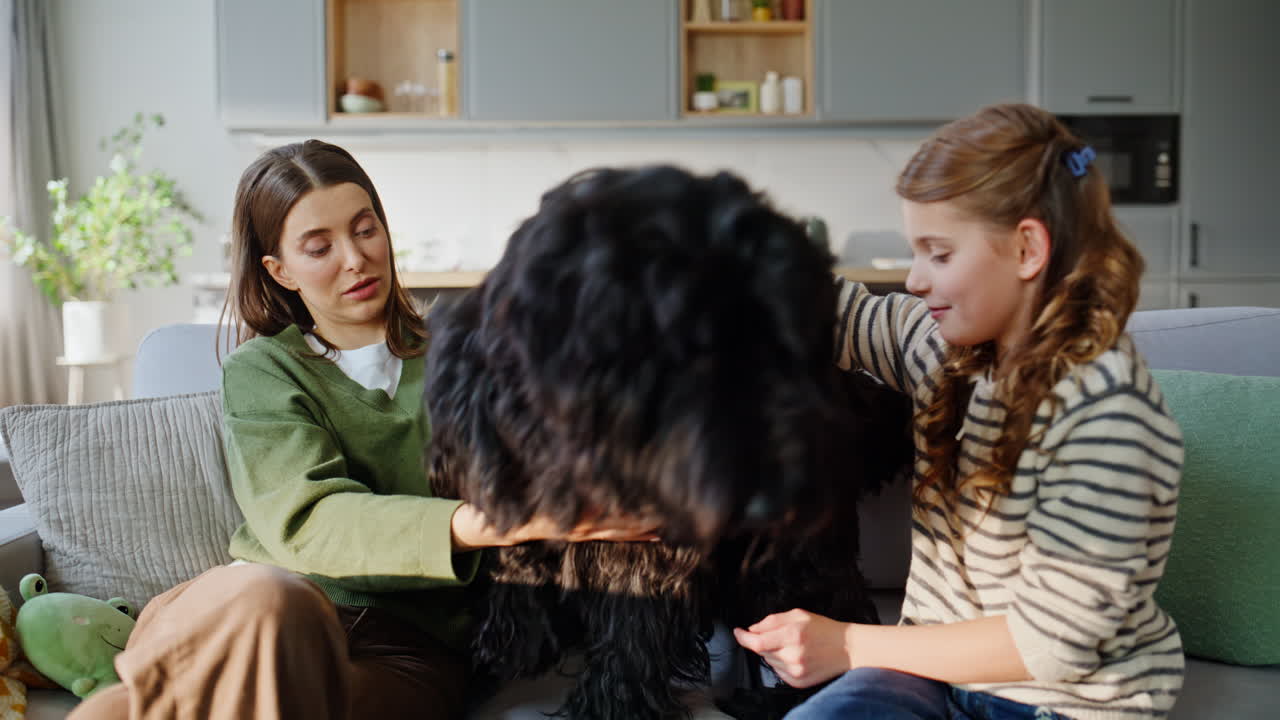 Persone rilassate che accarezzano un cane in un appartamento soleggiato, primo piano. L'animale si gode l'amore dei proprietari.