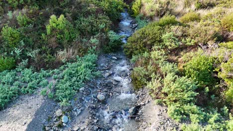 drone footage captures a tranquil glacial stream flowing through lush greenery and rocky terrain in queenstown, new zealand