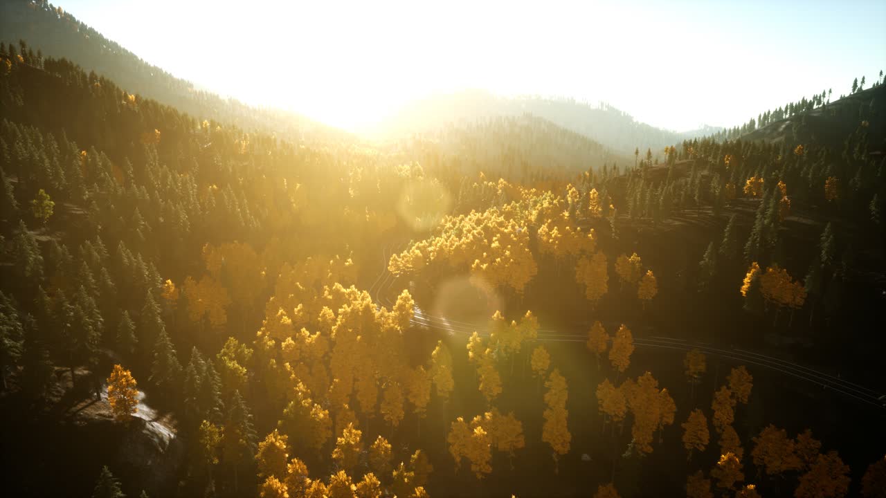 해질녘 산에 있는 소나무 숲 위로 공중 드론 보기 비행
