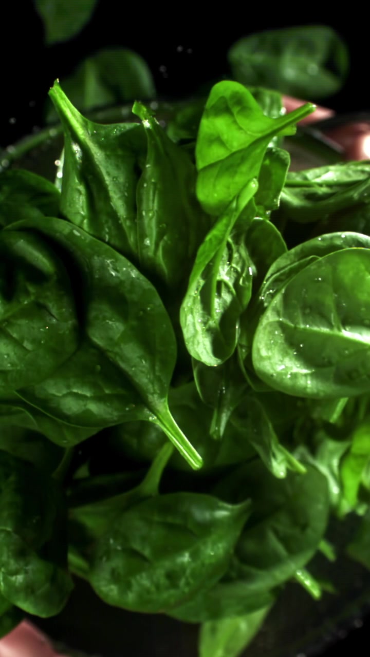 Gocce d'acqua al rallentatore che cadono su foglie fresche di spinaci verdi