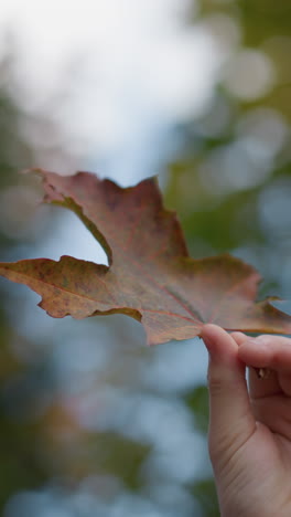 primer plano de una mano que sostiene delicadamente una hoja oxidada, observando su textura y detalles pensativamente, con un fondo borroso de vegetación y luz solar filtrándose a través de las hojas