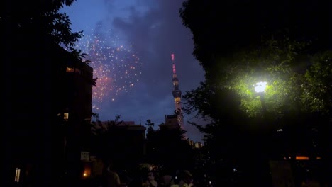 celebración de los fuegos artificiales del árbol del cielo de tokio