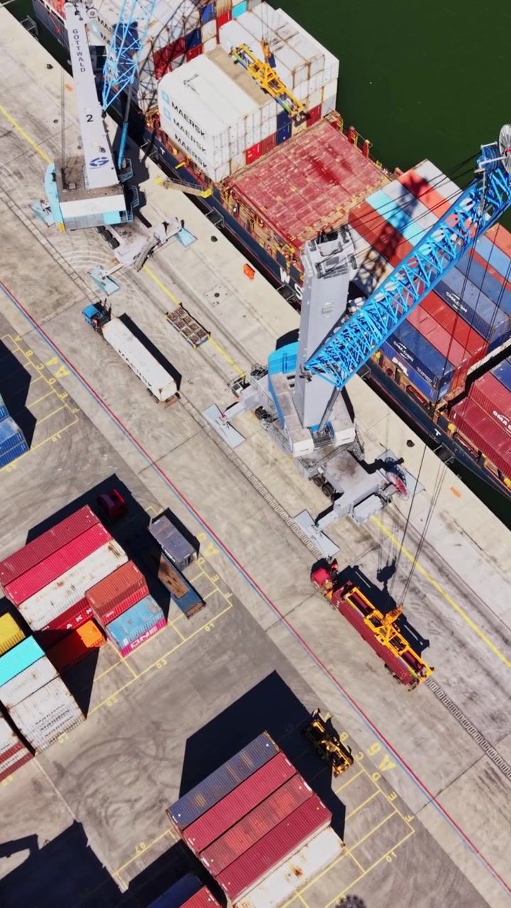 Shipping containers are being loaded at the port in bright daylight
