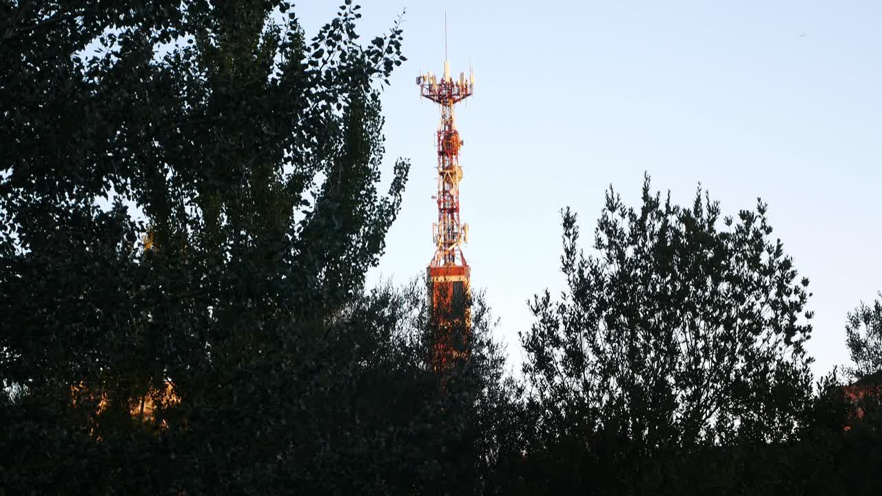 초목으로 둘러싸인 통신탑