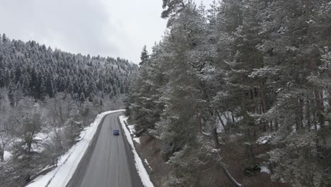 un camino pintoresco que atraviesa un bosque cubierto de nieve, con árboles que bordean el camino en un entorno invernal tranquilo