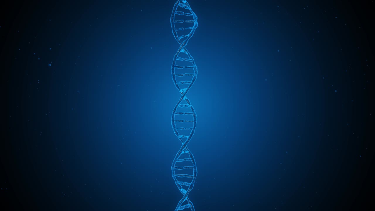 3D animation of DNA Molecule. The direction of DNA is upright.