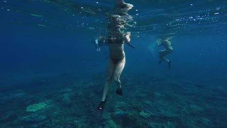 under water view of young female snorkelling in the blue ocean taking a breath of air