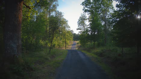 Schotterstraße-Führt-Im-Sommer-Durch-Grünen-Wald-In-Schweden