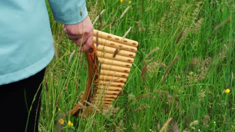 una mujer joven sosteniendo una flauta de pan en la naturaleza