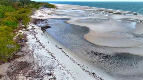 Schwenk-Eines-Großen,-Leeren-Strandes-Aus-üppigen-Büschen