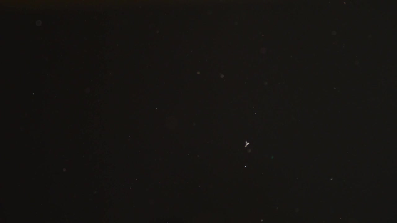 Partículas de polvo en el espacio negro, macro a cámara lenta