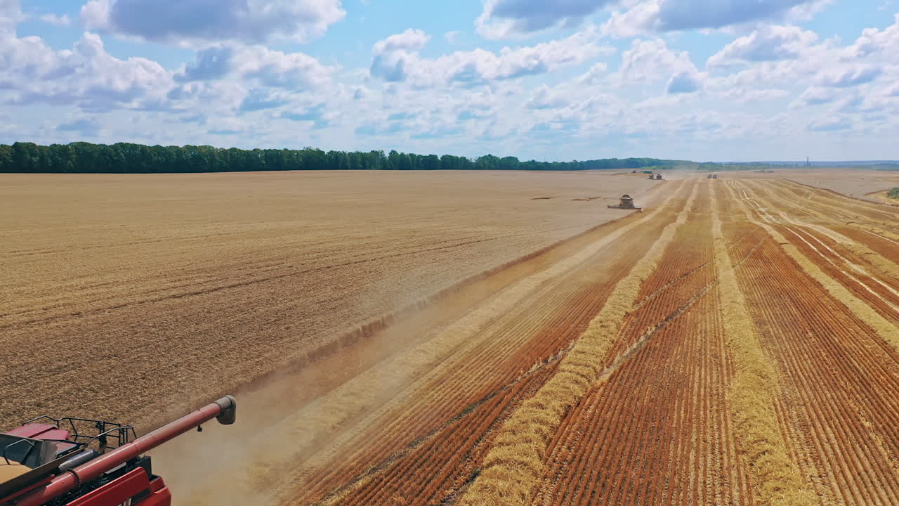 Combine harvester on the field. Combine harvester agriculture machine in the wheat field