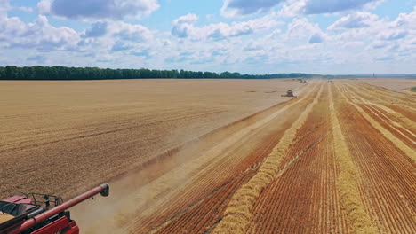 combine harvester on the field. combine harvester agriculture machine in the wheat field