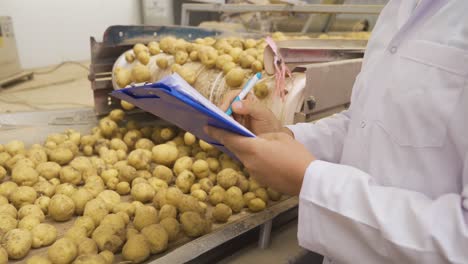 Agricultural-engineer-supervising-potatoes-moving-on-conveyor-belt-takes-notes.