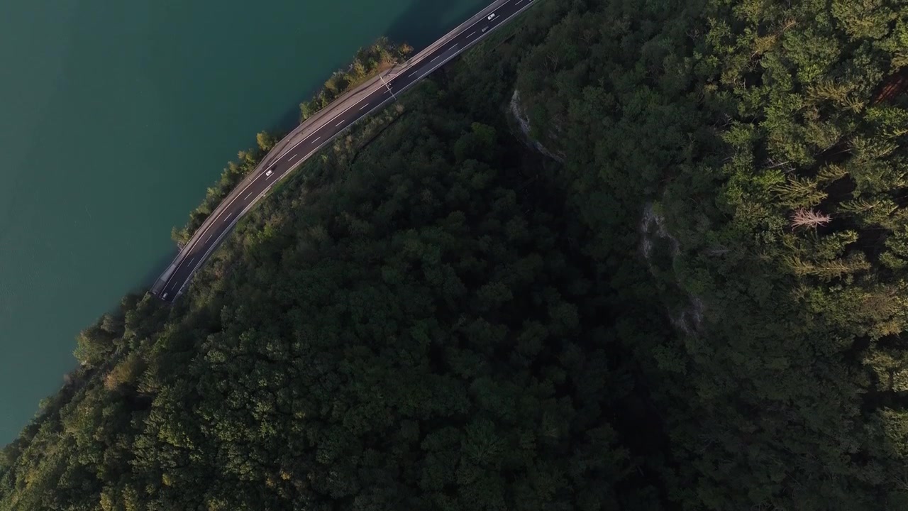 Luftfoto af tætte skove og kystvej ved Walensee-søen i kantonen Glarus, Schweiz.