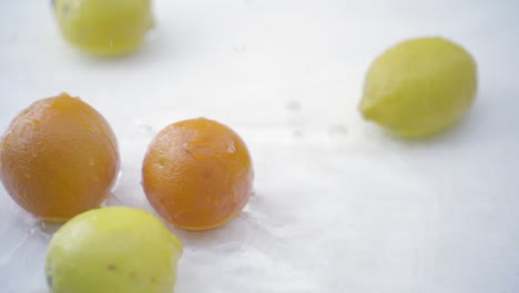 slomo of citrus in water on white backdrop