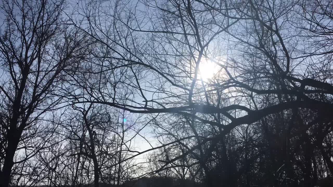 숲길을 걷다, 이른 봄 시즌