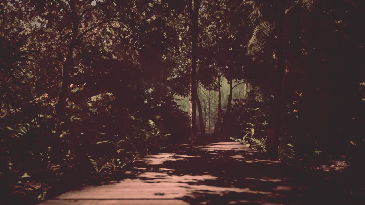 un camino misterioso a través de un exuberante bosque tropical