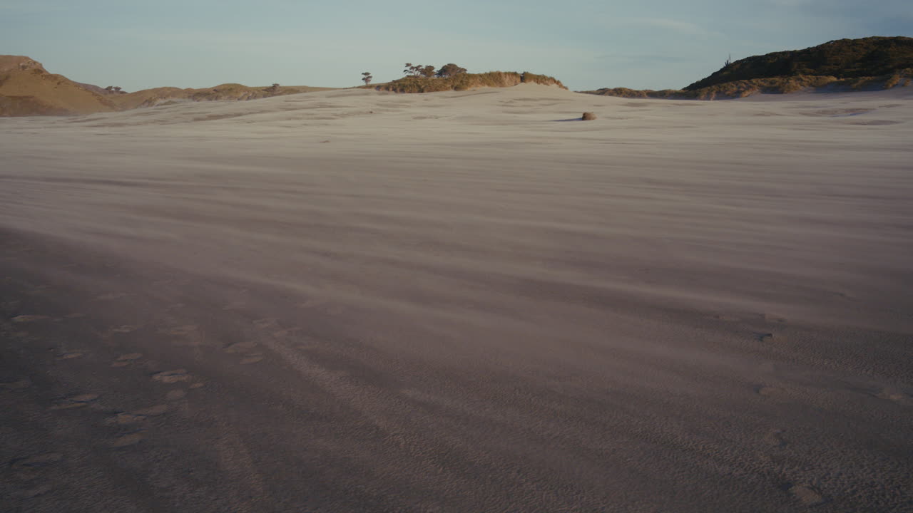 Windswept Sand Dunes Beach Landscape