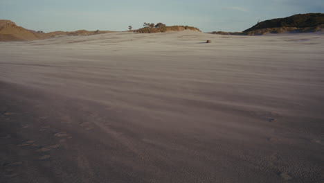 windswept sand dunes beach landscape