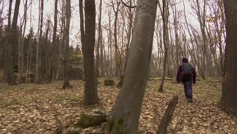 woman in purple jacket with backpack hiking through hoia baciu forest in romania in winter-1