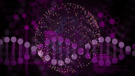 Animación-De-La-Estructura-Molecular-Y-La-Cadena-De-ADN-Sobre-Visualización-De-Datos-Científicos