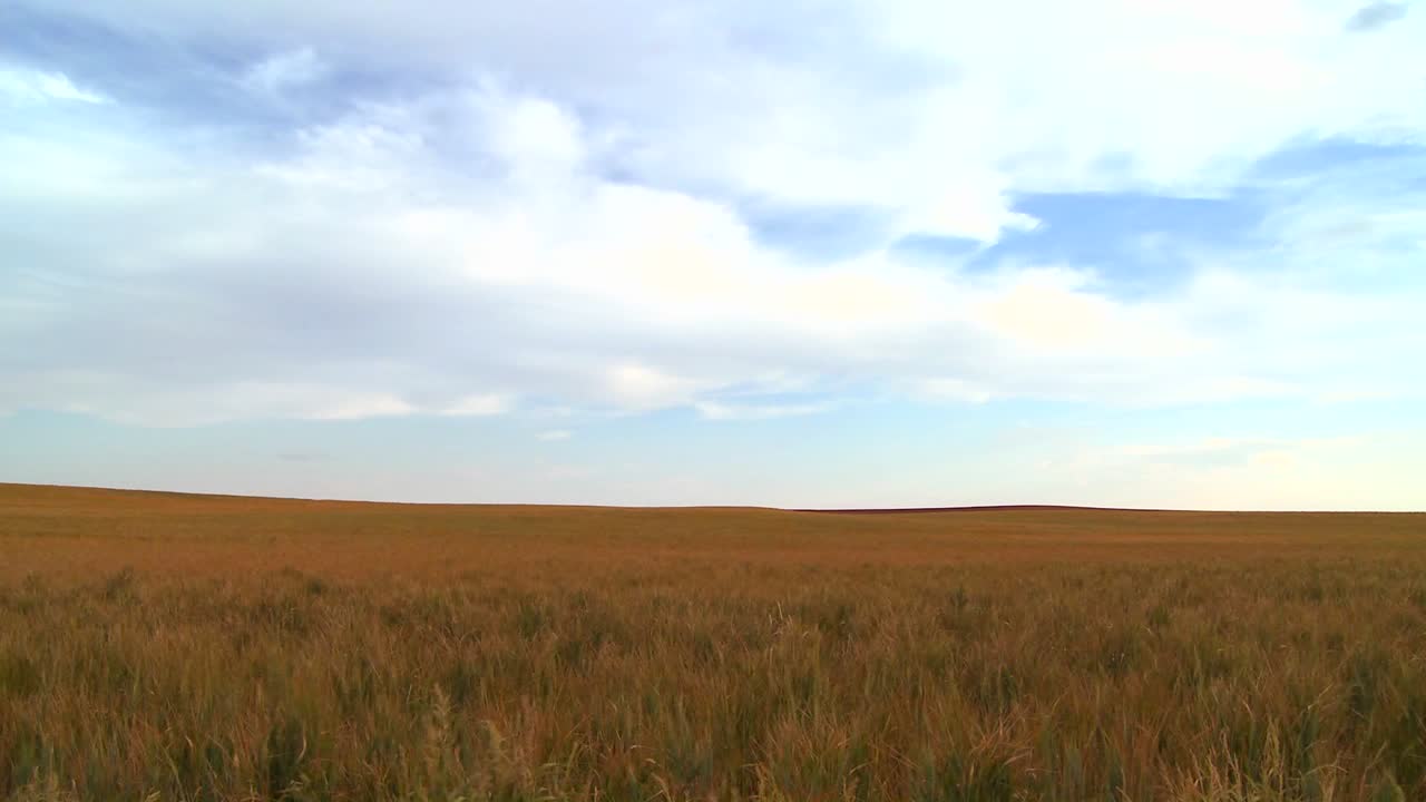 Vast open plains stretch out to the horizon