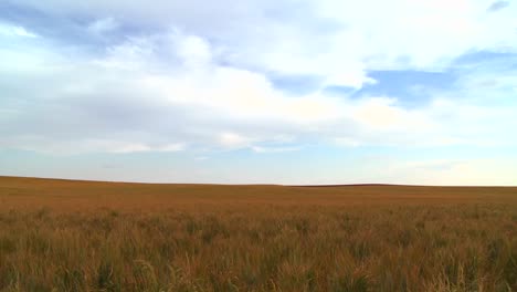 vast open plains stretch out to the horizon