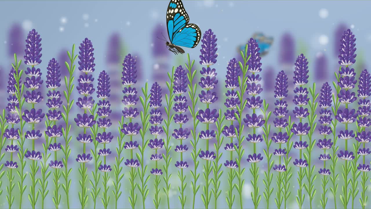 Blue butterflies gracefully flutter above vibrant lavender blooms against a soft, dreamy background with gentle snowfall