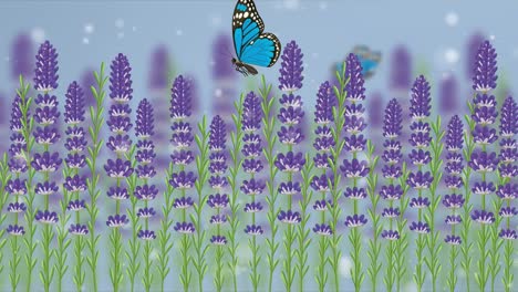 blue butterflies gracefully flutter above vibrant lavender blooms against a soft, dreamy background with gentle snowfall