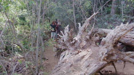 grupo de jóvenes amigos caminando por el campo caminando por el camino juntos