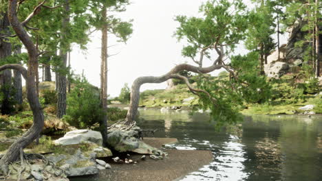 a tranquil forest scene with a lake and pine trees