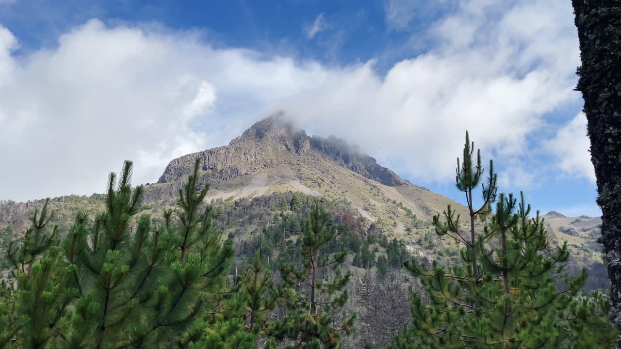 Scenic Mountain Peak Partially Covered by Clouds with Pine Trees in the Foreground