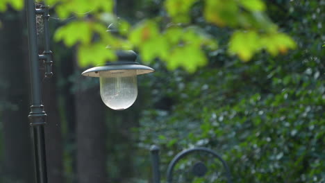 close-up of a vintage street lamp with lush green foliage in soft focus background, daylight