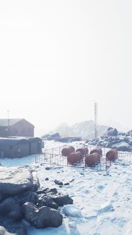 a research station in antarctica