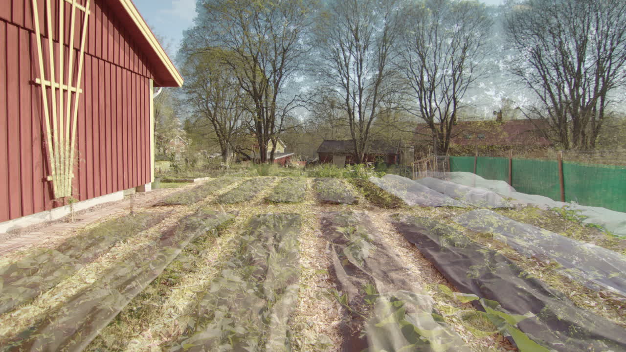 parche de verduras de jardín larga duración lapso de tiempo desde el invierno hasta el verano, hacer zoom en