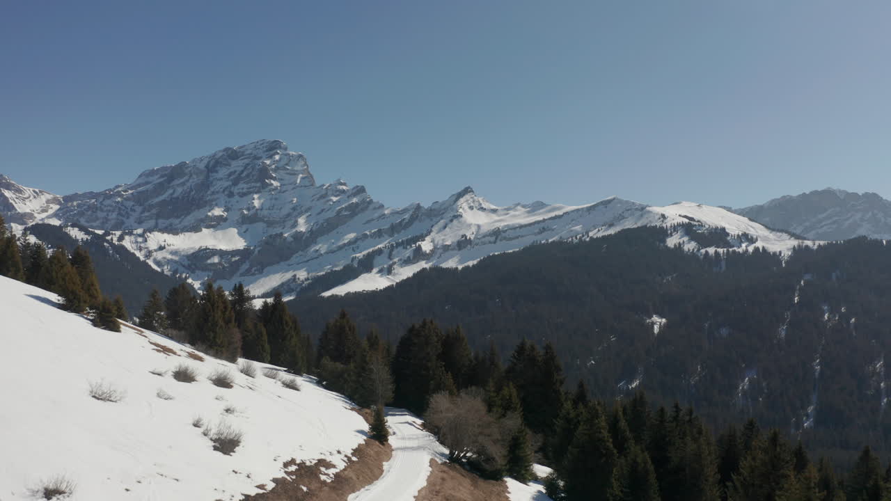 Ripresa aerea cinematografica tra gli alberi che rivela una splendida valle innevata