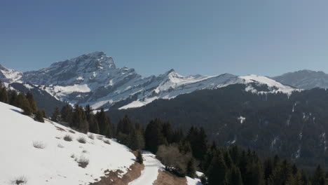 Cinematic-aerial-between-trees-and-revealing-a-beautiful-snow-covered-valley