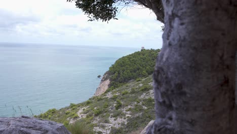 tree trunks concealing a view of a wooded sea cliff with a tower,spain