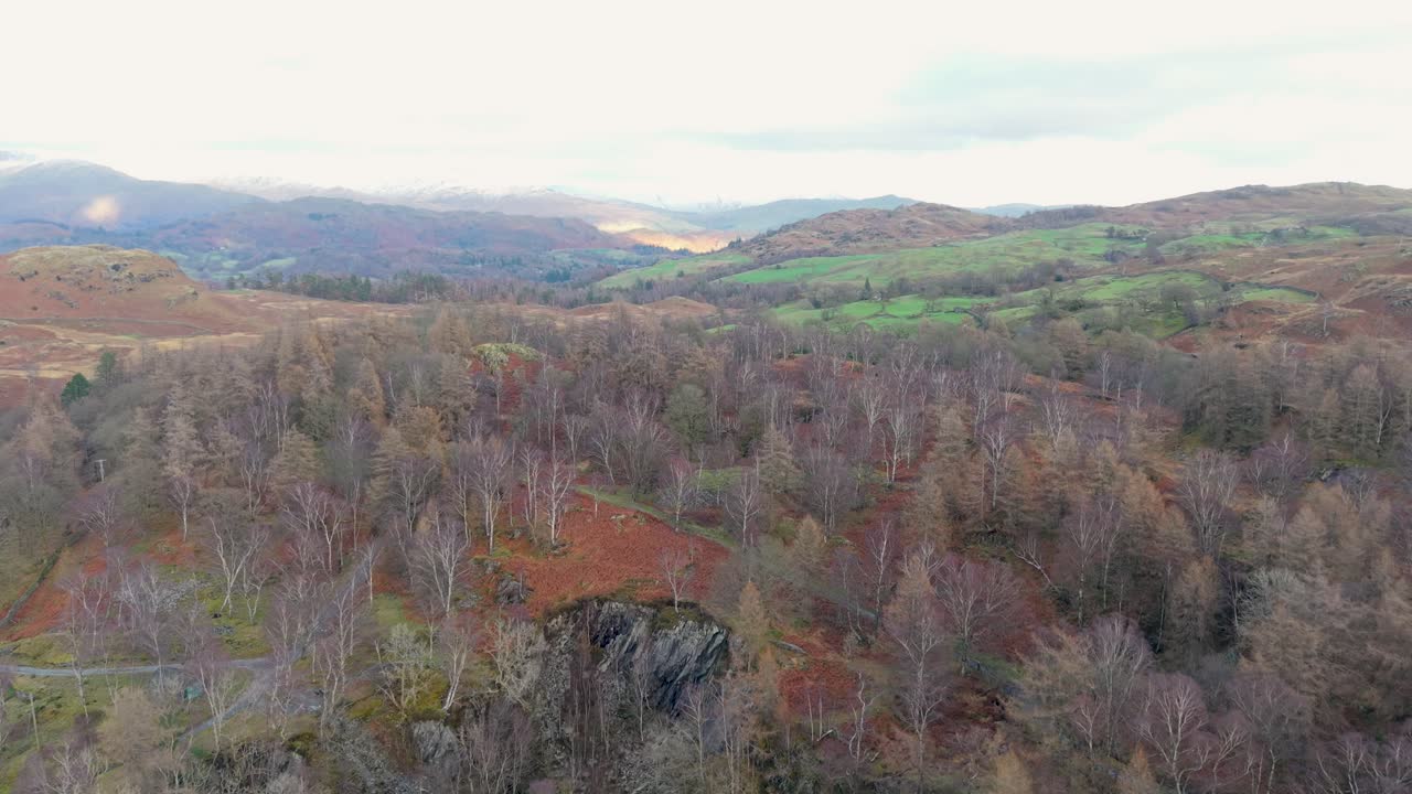 Drone flies over winter trees, revealing rolling hills of green and orange and a sunlit mountain beneath a soft, cloudy sky