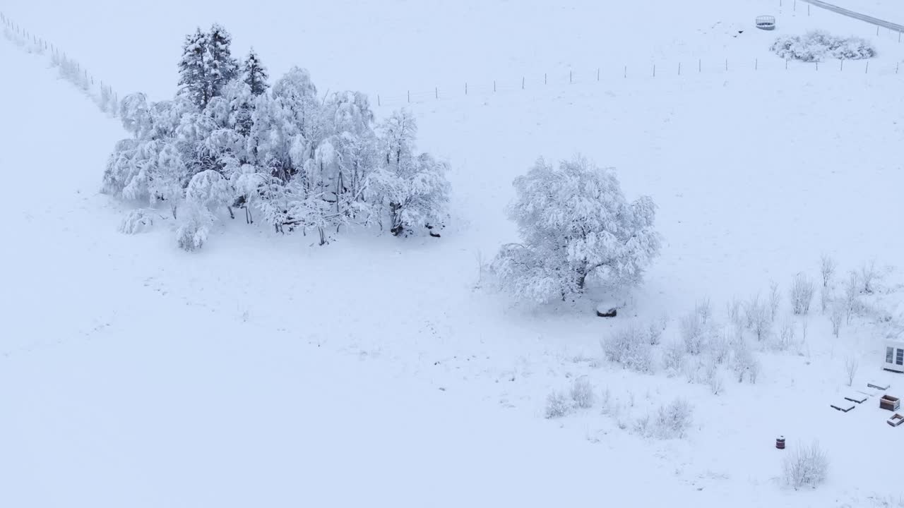 시골 마을은 겨울철에 눈으로 여 있습니다.