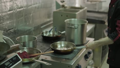 chef in a restaurant preparing food in the kitchen