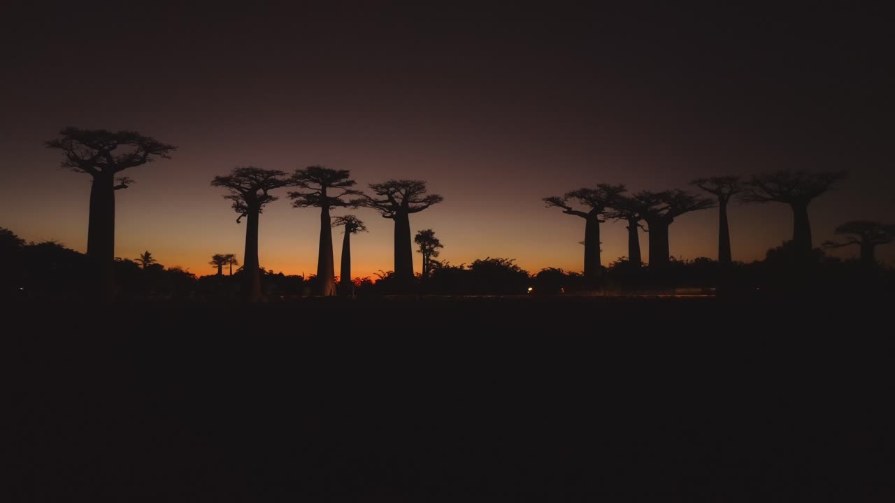 coches conduciendo bajo silueta negra de árboles de baobab en la avenida de los baobabs en madagascar después de la puesta de sol con cielo naranja