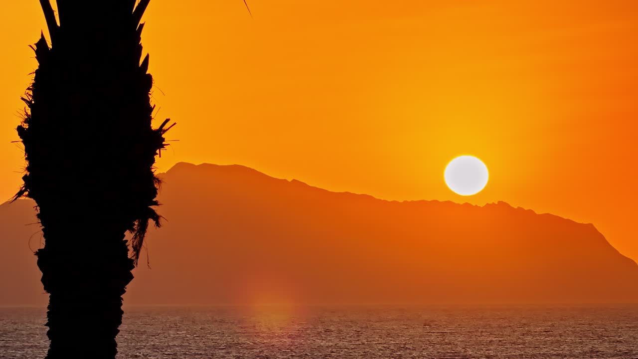En strålende orange solnedgang lyser op over et roligt hav og en fjern bjergryg, med en dramatisk palmetræsilhuet, der indrammer forgrunden i Egypten