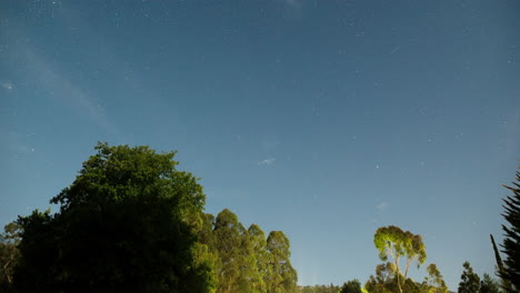 toma panorámica de lapso de tiempo de estrellas que giran alrededor del polo sur celeste con los árboles en primer plano iluminados por la luna mientras se pone detrás de la cámara