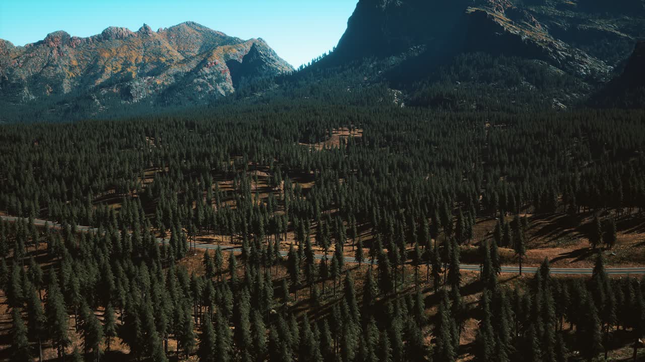 vista aerea della strada di montagna e della foresta